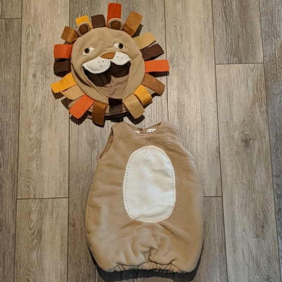 Pottery Barn Kids Costumes Pottery Barn Lion Costume Poshmark